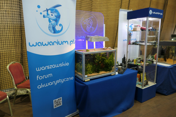 2019 - Aqua Silesia - Wystawa - Zdjęcie 013 - Wawarium.JPG