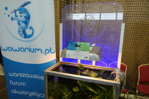 2019 - Aqua Silesia - Wystawa - Zdjęcie 014 - Wawarium.JPG