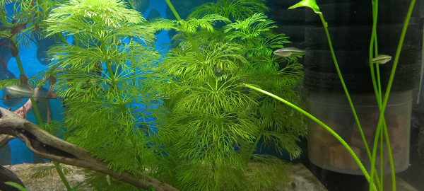 20250813_140318.jpg