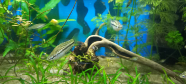 20251002_200909.jpg