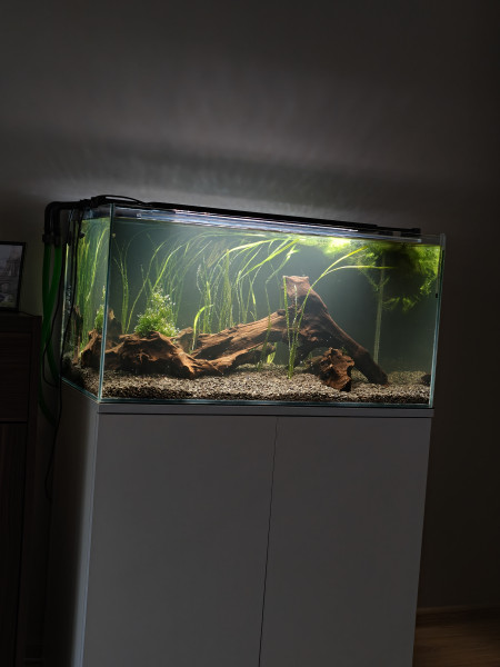 Day 1
