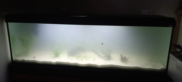 20260701_143825.jpg