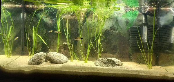 20260929_210740.jpg