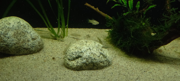 20260929_205717.jpg